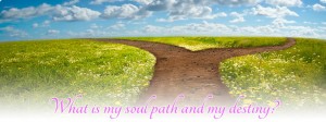 hphp-soul-path-destiny